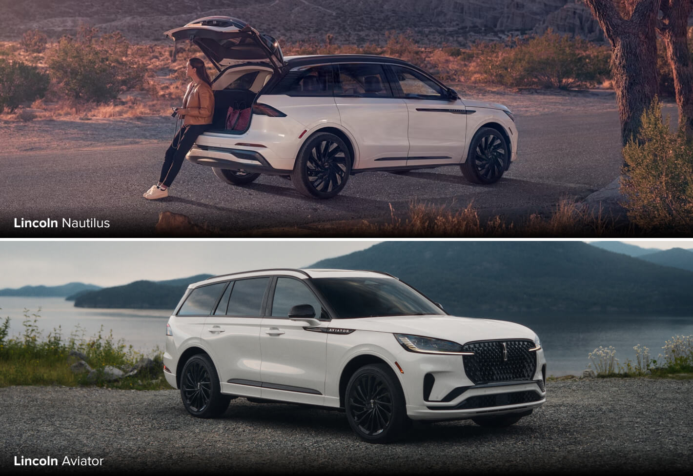 Safety & Reliability