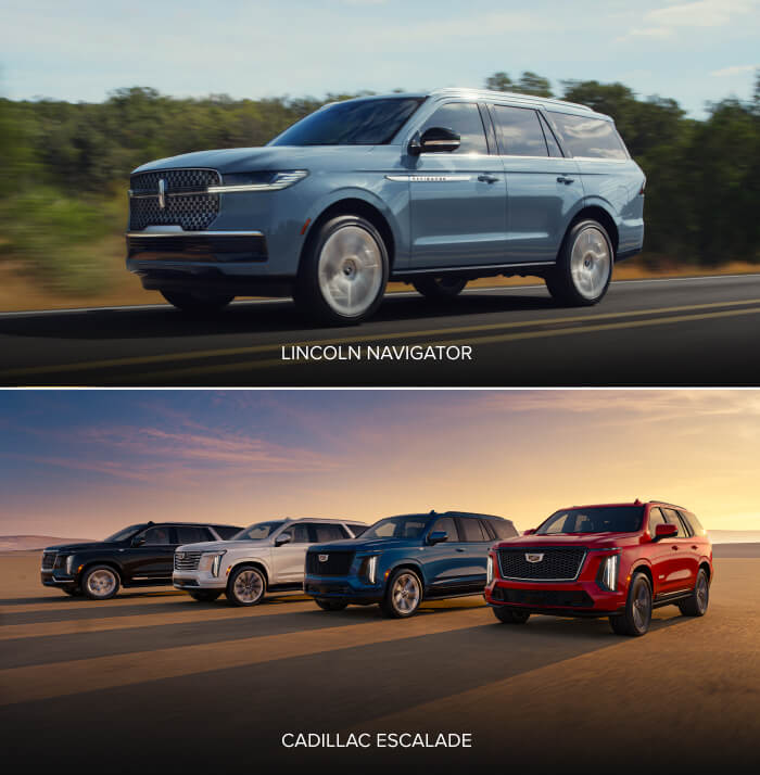 2026 Lincoln Navigator and a line up of Cadillac Escalades
