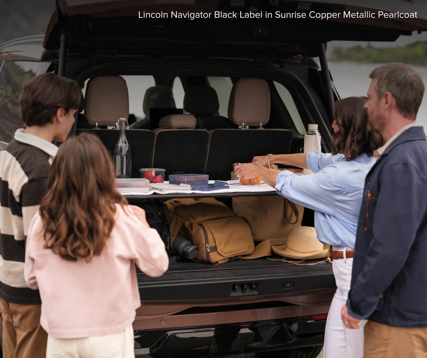 2025 Lincoln Navigator Leasing vs. Financing