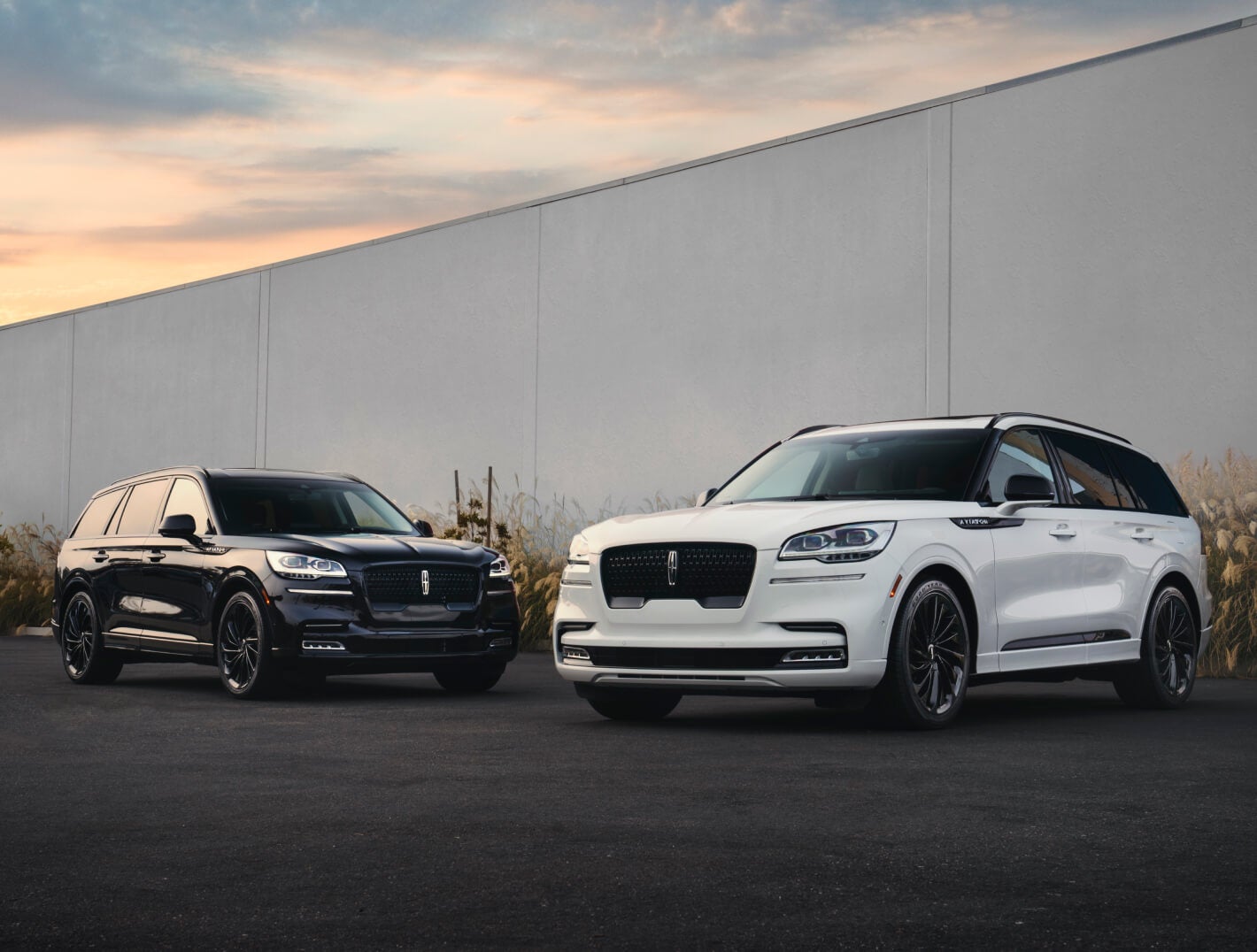 Volkswagen Specials and Financing Near Kingsport